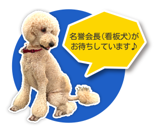 名誉会長（看板犬）がお待ちしています